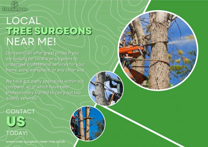 Tree Surgeon in 